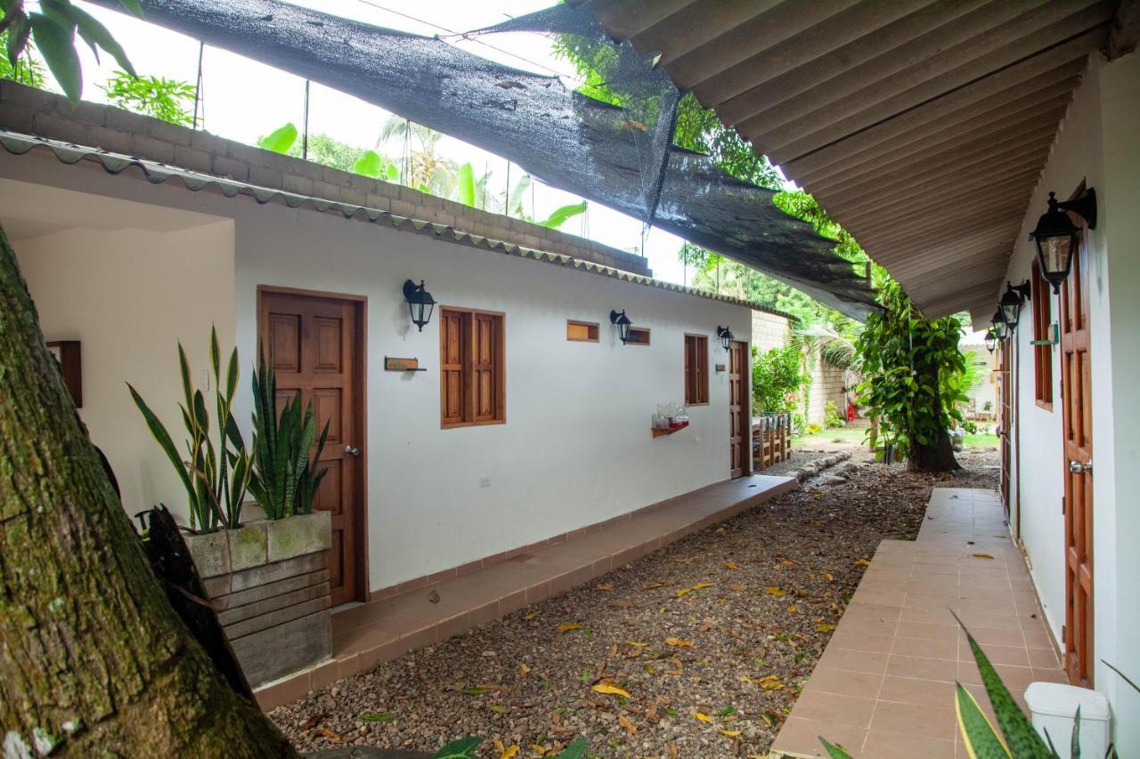 Hostal Hermoso Palomino Exterior foto