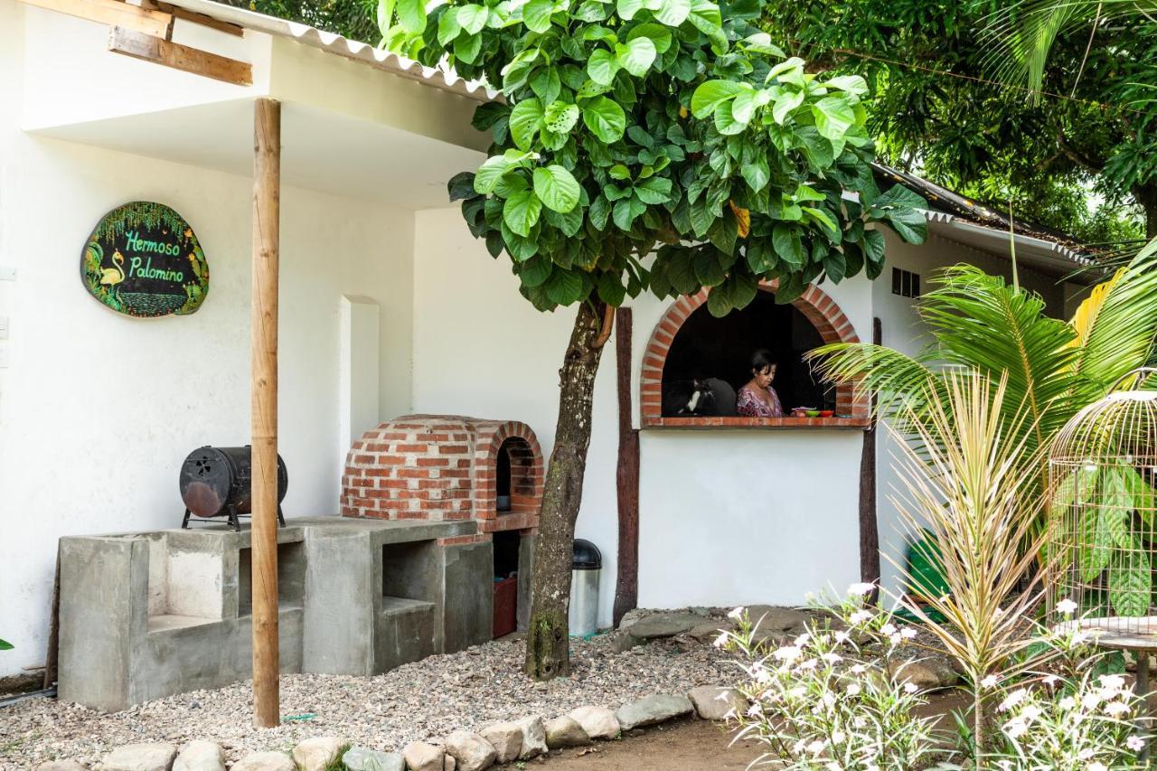 Hostal Hermoso Palomino Exterior foto