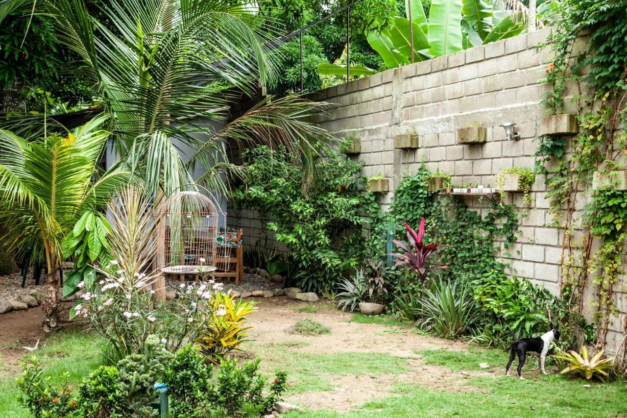 Hostal Hermoso Palomino Exterior foto