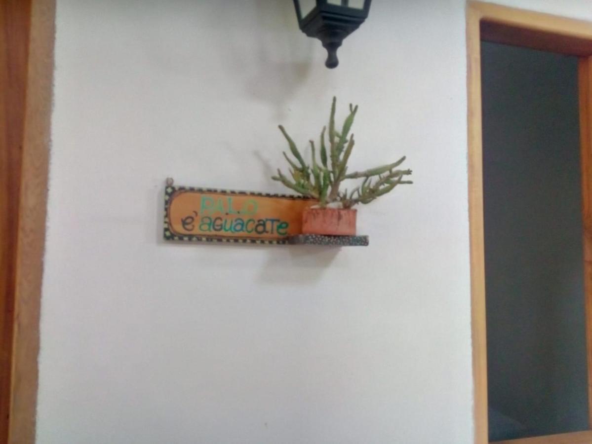Hostal Hermoso Palomino Exterior foto